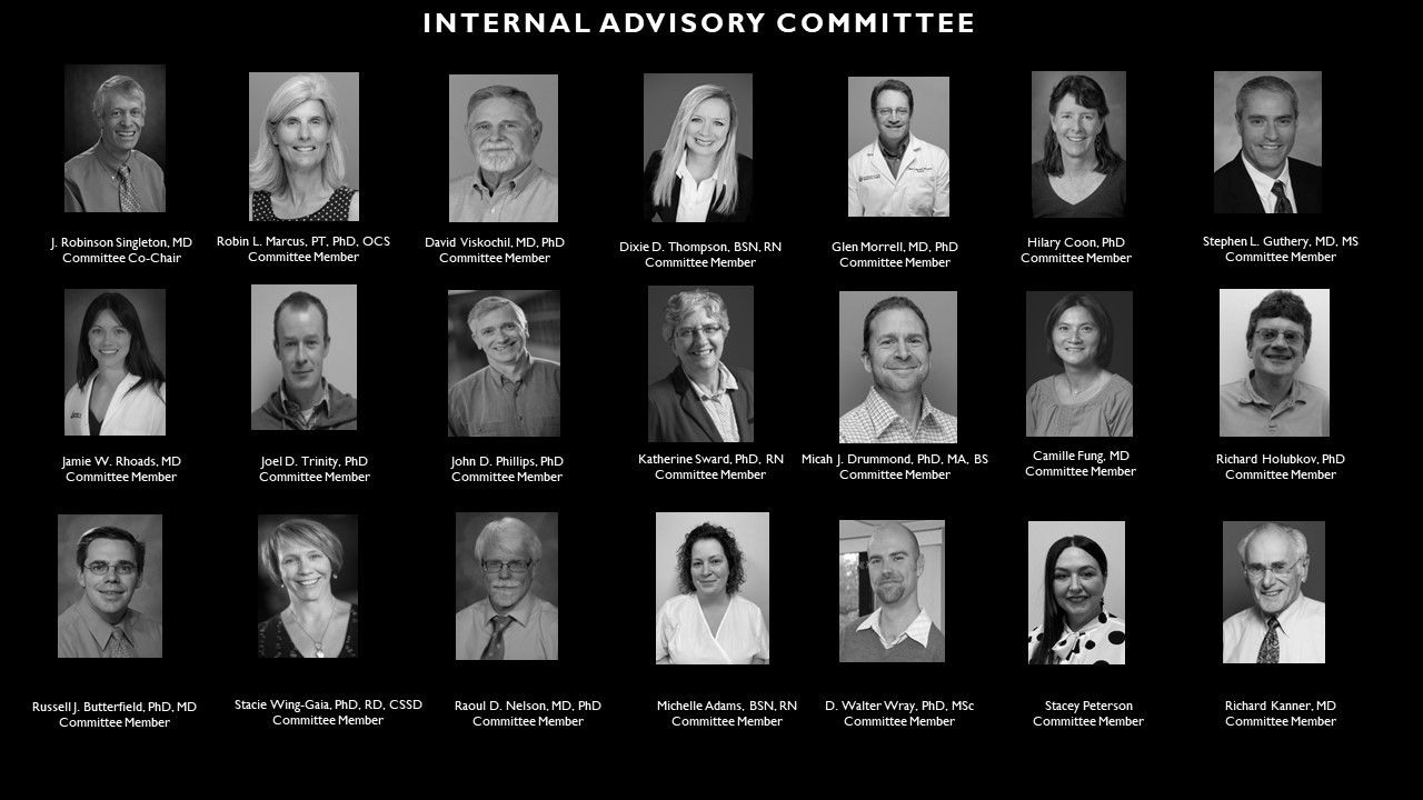 Internal Advisory Committee