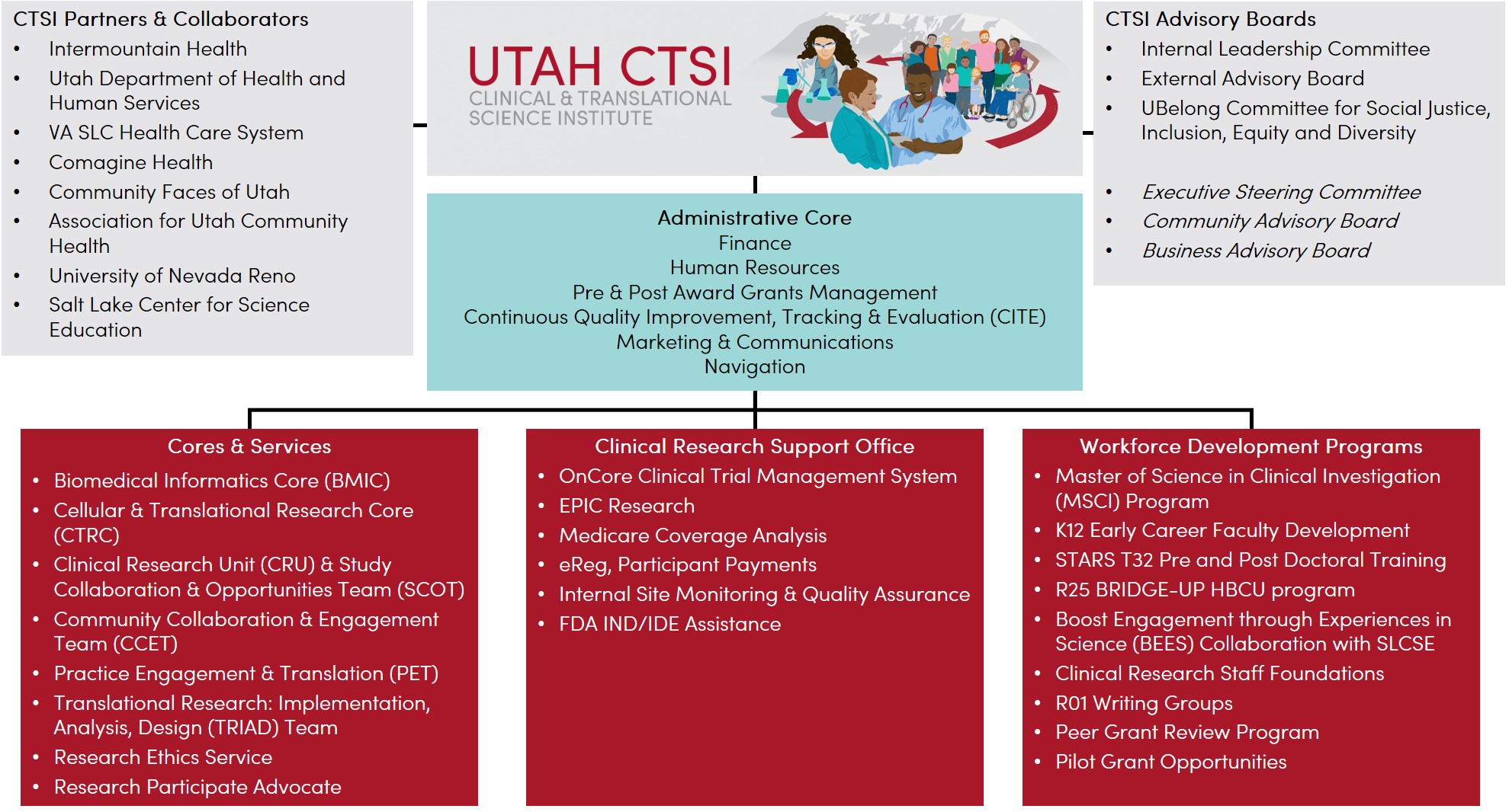 ctsi org chart