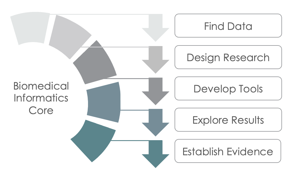 BMIC steps: Find Data, Design Research, Develop Tools, Explore Results, Establish Evidence 