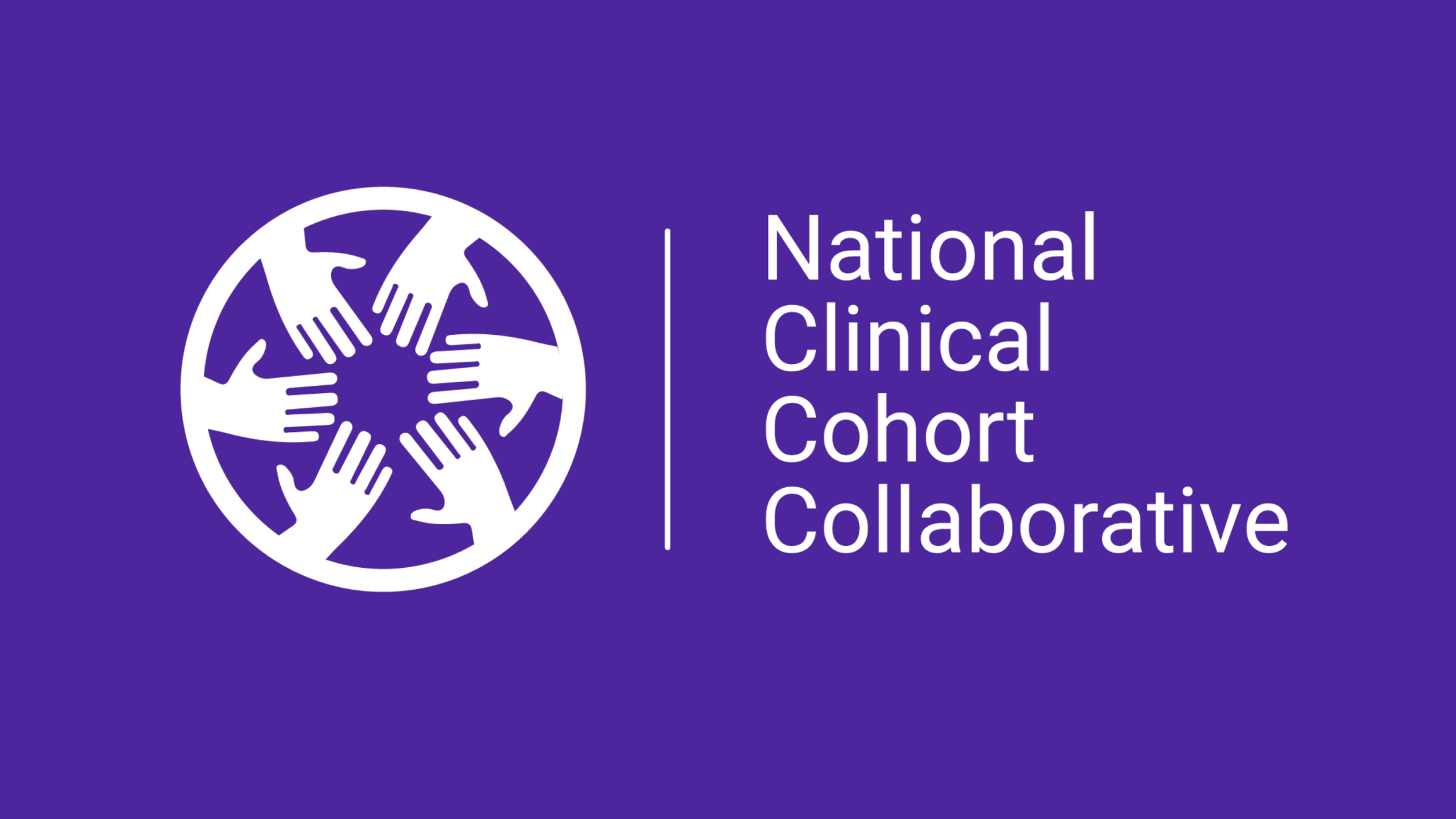 N3C Logo