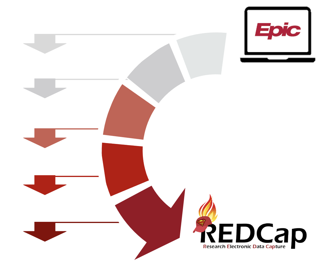 REDCap arrow graphic